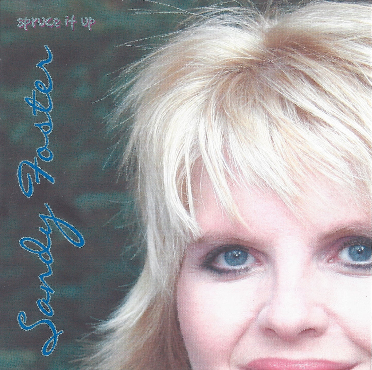 Sandy Foster - Spruce It Up Album